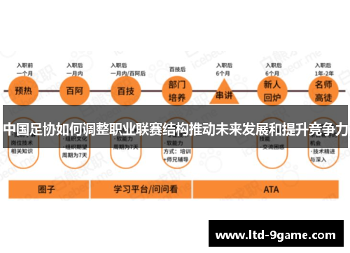 中国足协如何调整职业联赛结构推动未来发展和提升竞争力